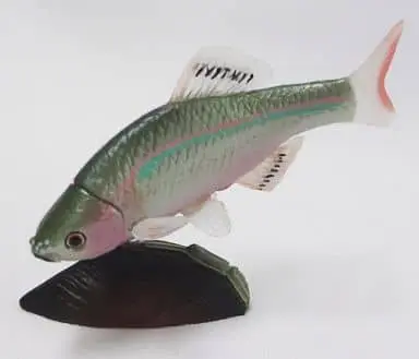 Trading Figure - Kaiyodo CapsuleQ Museum