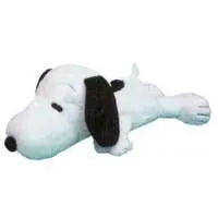 Plush - PEANUTS / Snoopy