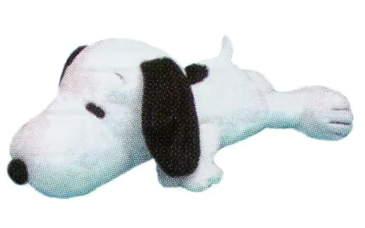 Plush - PEANUTS / Snoopy