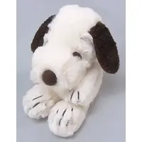 Plush - PEANUTS / Snoopy