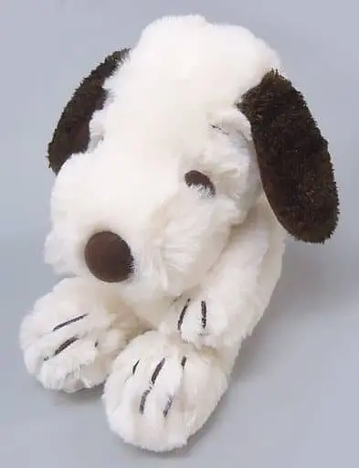 Plush - PEANUTS / Snoopy