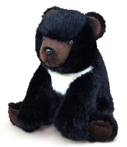 Plush - Bear