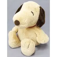 Plush - PEANUTS / Snoopy