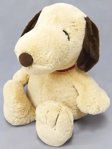 Plush - PEANUTS / Snoopy