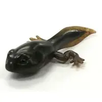 Trading Figure - Primary Color Amphibian Frog Encyclopedia