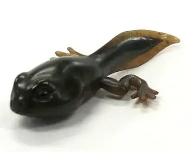 Trading Figure - Primary Color Amphibian Frog Encyclopedia