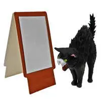 Trading Figure - Full-length mirror vs cat