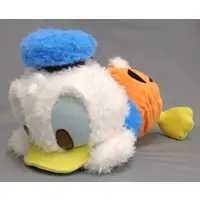 Plush - Disney / Donald Duck