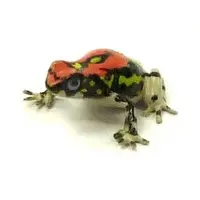 Trading Figure - Primary Color Amphibian Frog Encyclopedia