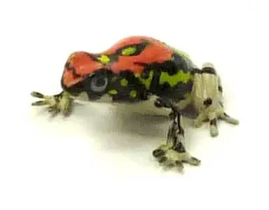 Trading Figure - Primary Color Amphibian Frog Encyclopedia