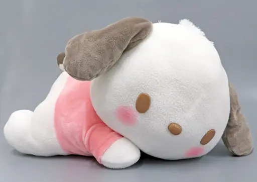 Plush - Sanrio / Pochacco