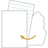 Stationery - Plastic Folder (Clear File) - RILAKKUMA / Korilakkuma & Kiiroitori & Chairoikoguma & Rilakkuma