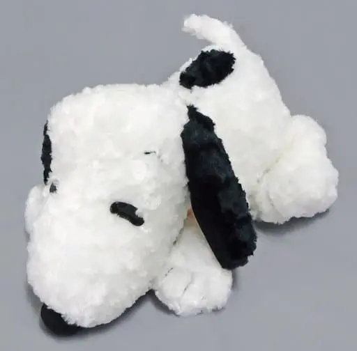 Plush - PEANUTS / Snoopy