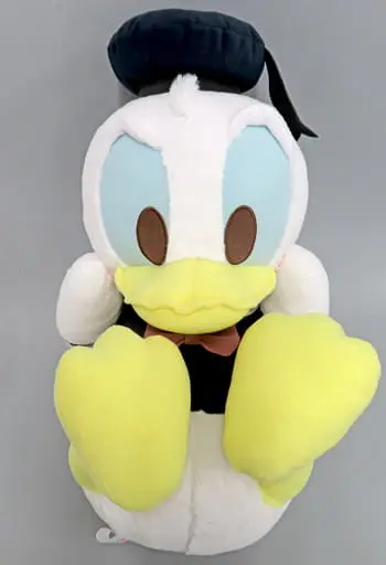 Plush - Disney / Donald Duck