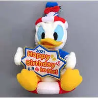 Plush - Disney / Donald Duck