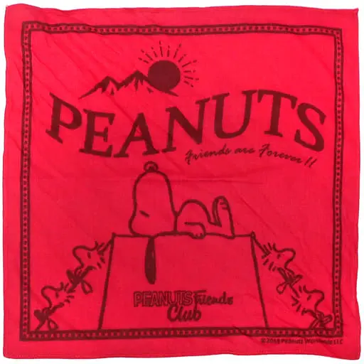 Plush Clothes - PEANUTS / Snoopy & Woodstock