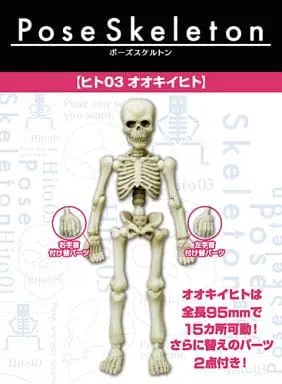 Trading Figure - Pose Skeleton