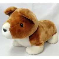 Plush - Dog