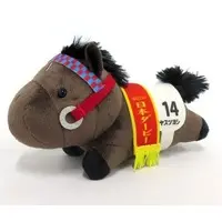 Plush - Thoroughbred collection