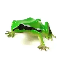 Trading Figure - Primary Color Amphibian Frog Encyclopedia