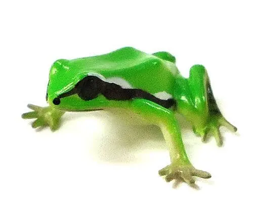 Trading Figure - Primary Color Amphibian Frog Encyclopedia
