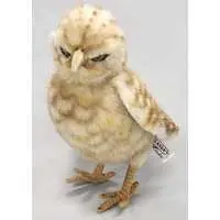 Plush - Bird / Burrowing owl