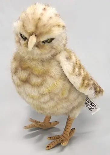 Plush - Bird / Burrowing owl