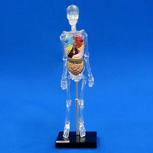 Trading Figure - 3D Capsule Encyclopedia