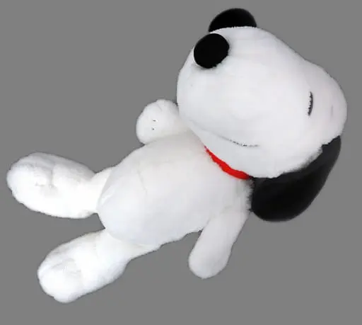 Plush - PEANUTS / Snoopy