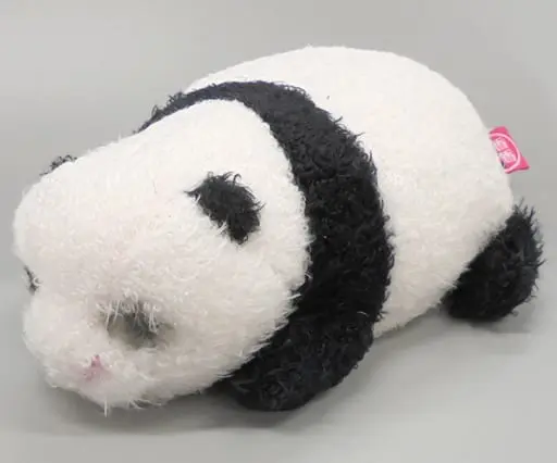 Plush - Panda