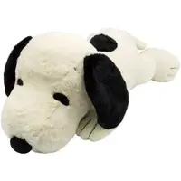 Plush - PEANUTS / Snoopy