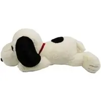 Plush - PEANUTS / Snoopy