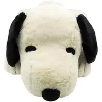 Plush - PEANUTS / Snoopy