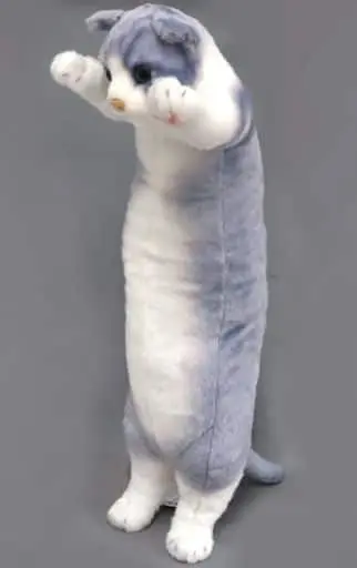 Plush - Tacchi Zoo