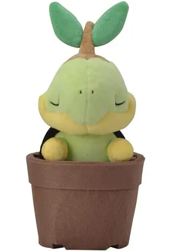 Plush - Pokémon / Turtwig