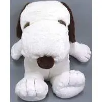 Plush - PEANUTS / Snoopy