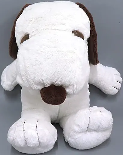 Plush - PEANUTS / Snoopy