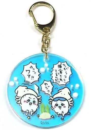 Key Chain - Chiikawa / Chiikawa & Hachiware