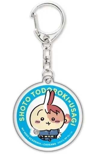 Key Chain - Acrylic stand - Chiikawa / Usagi