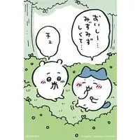 Character Card - Chiikawa / Chiikawa & Hachiware