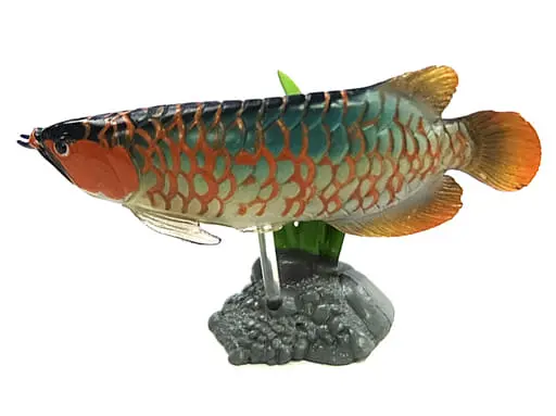 Trading Figure - Freshwater Fishes