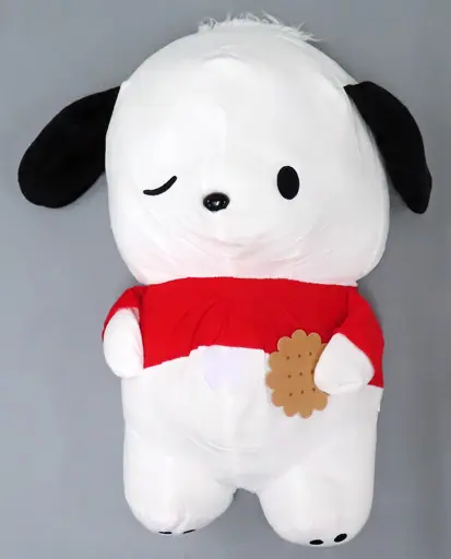 Plush - Sanrio / Pochacco