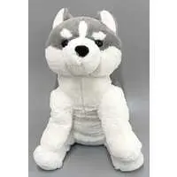 Plush - Siberian Husky