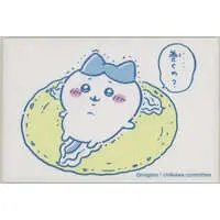 Magnet - Chiikawa / Hachiware