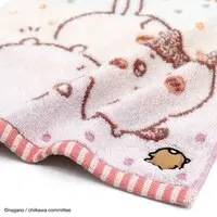 Handkerchief - Chiikawa / Chiikawa & Usagi & Hachiware