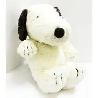 Plush - PEANUTS / Snoopy