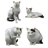 Trading Figure - Cat