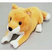 Plush - Great Shibainu-kun