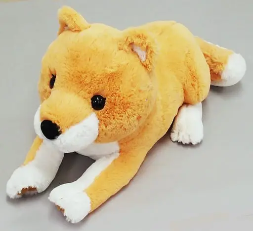 Plush - Great Shibainu-kun