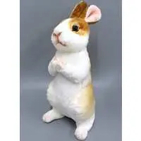 Plush - Rabbit
